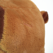 Ed the Capybara thumbnail 5