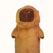 Ed the Capybara thumbnail 2