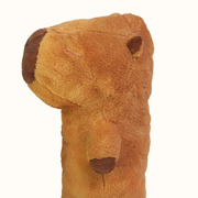 Ed the Capybara thumbnail 3