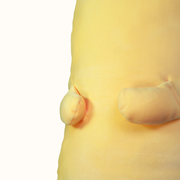 Flip the Sunny Snuggler thumbnail 4